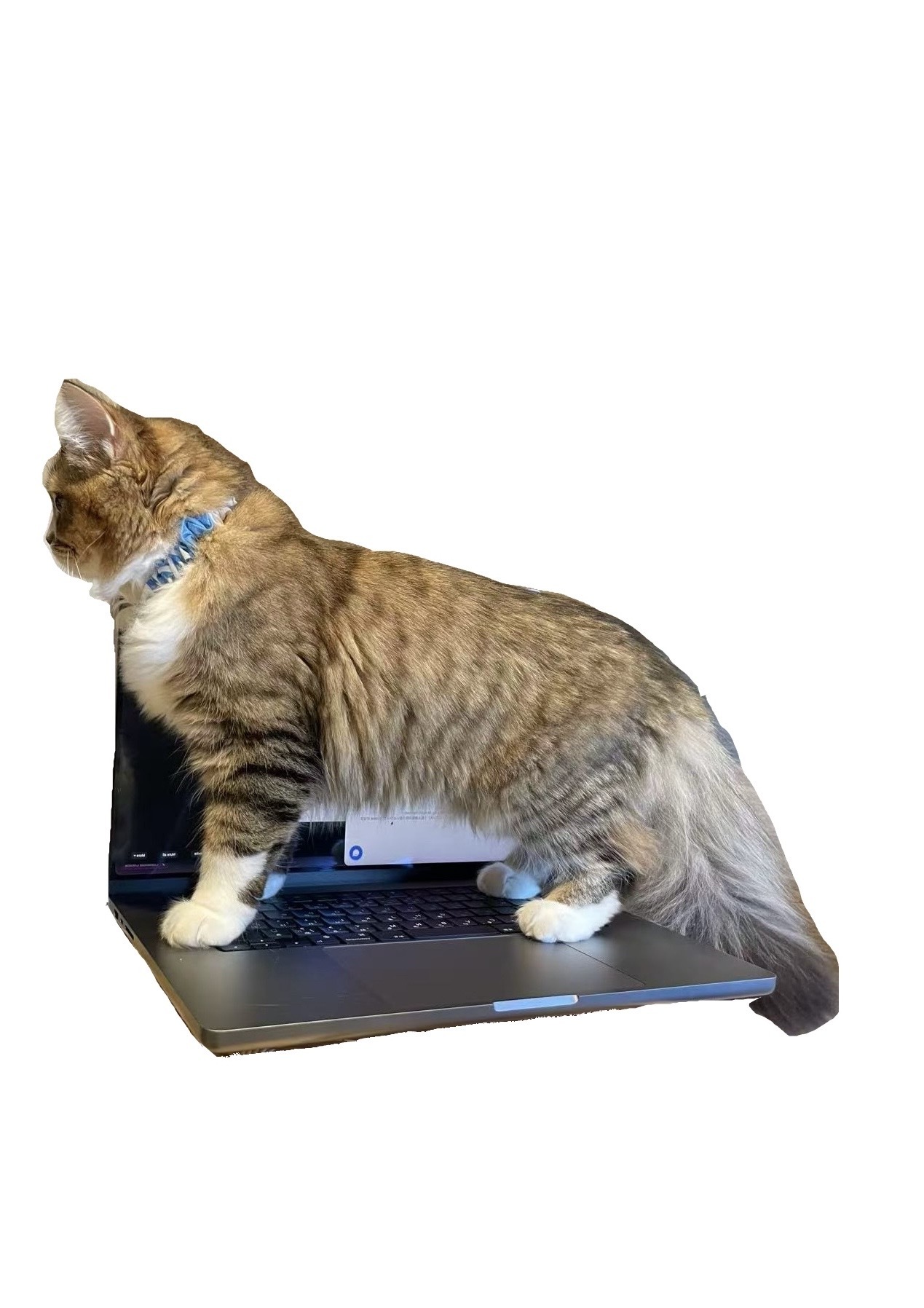 Knowledge Miner preview